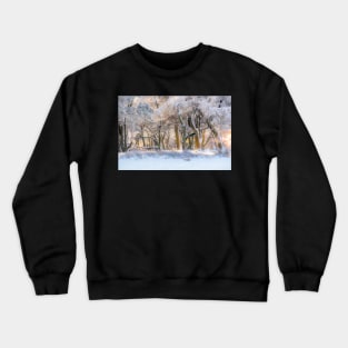 Winter wonderland Crewneck Sweatshirt